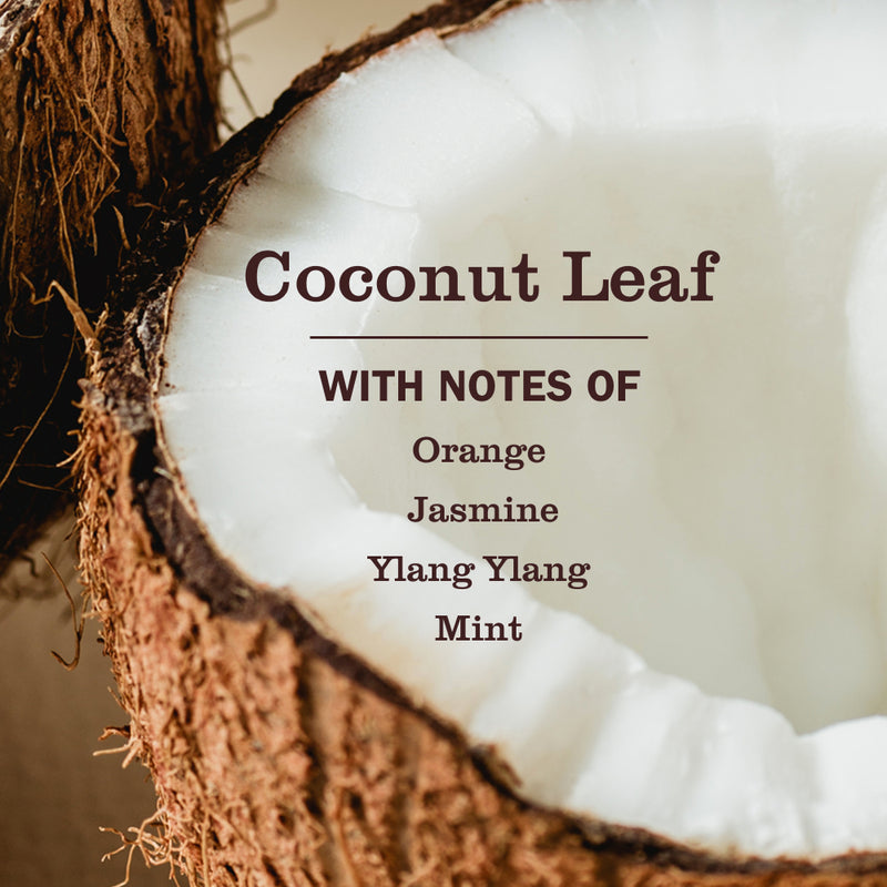 Coconut Leaf Pet Stain &amp; Odor Fighter