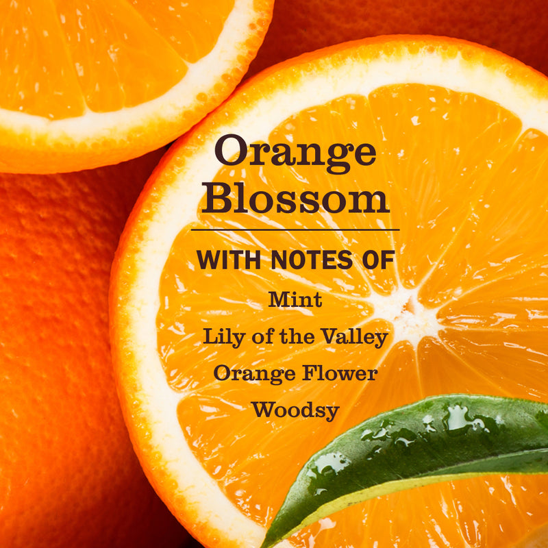 Orange Blossom Pet Stain &amp; Odor Fighter