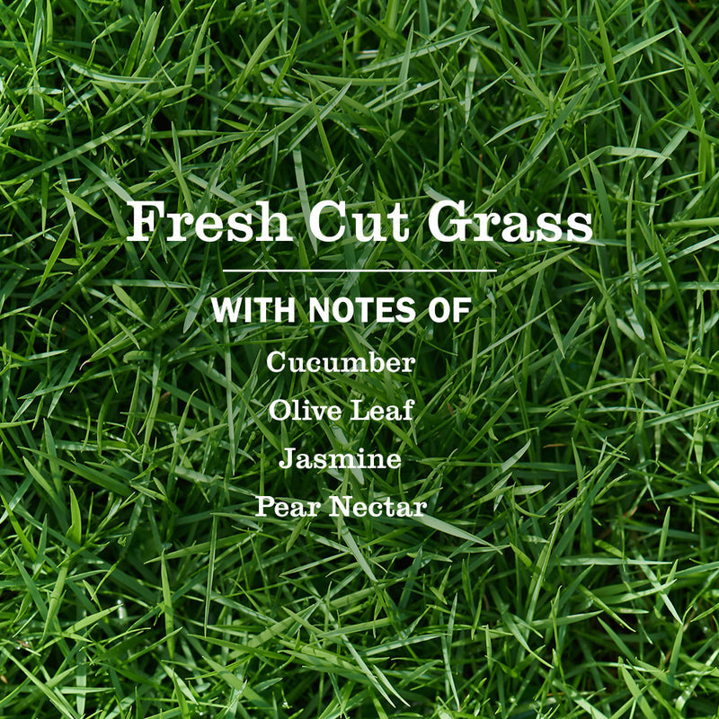 Fresh Cut Grass Hand Soap | Mrs. Meyer's