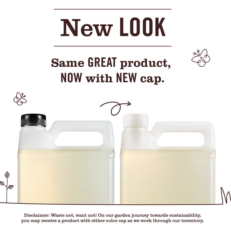 Mrs. Meyer's Lemon Verbena Dish Soap Refill