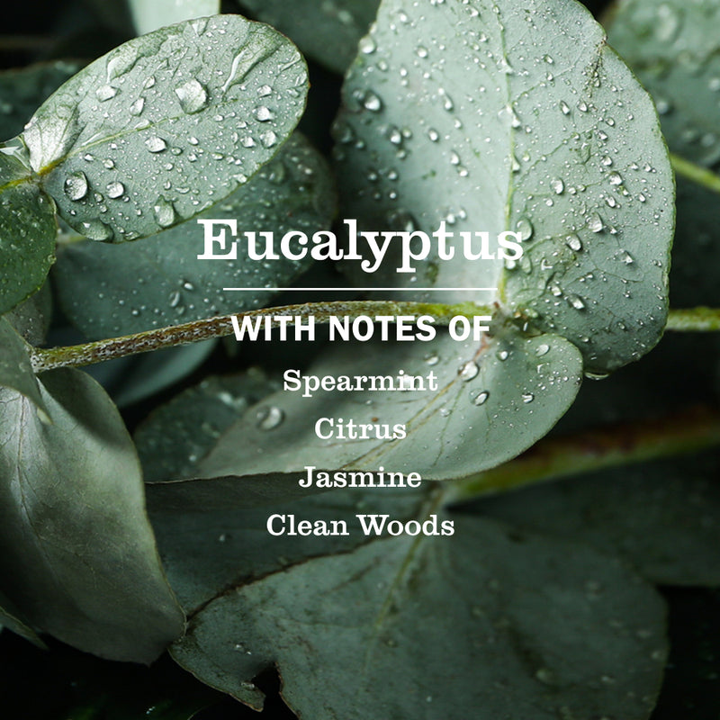Eucalyptus Multi-Surface Everyday Cleaner | Mrs. Meyer's