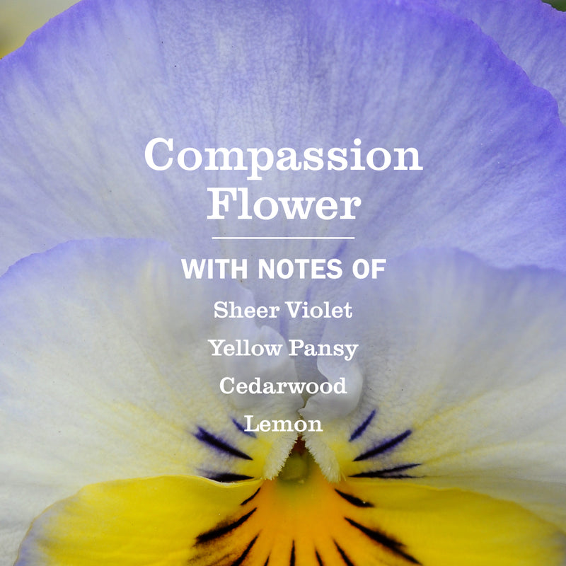 Compassion Flower Multi-Surface Everyday Cleaner | Mrs. Meyer's