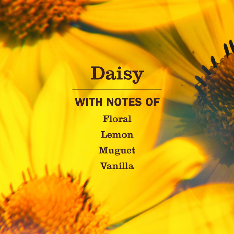 Mrs. Meyer's Daisy Liquid Hand Soap