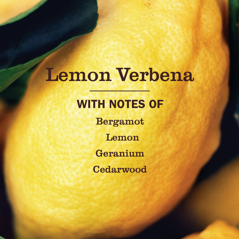 Mrs. Meyer's Lemon Verbena Toilet Bowl Cleaner