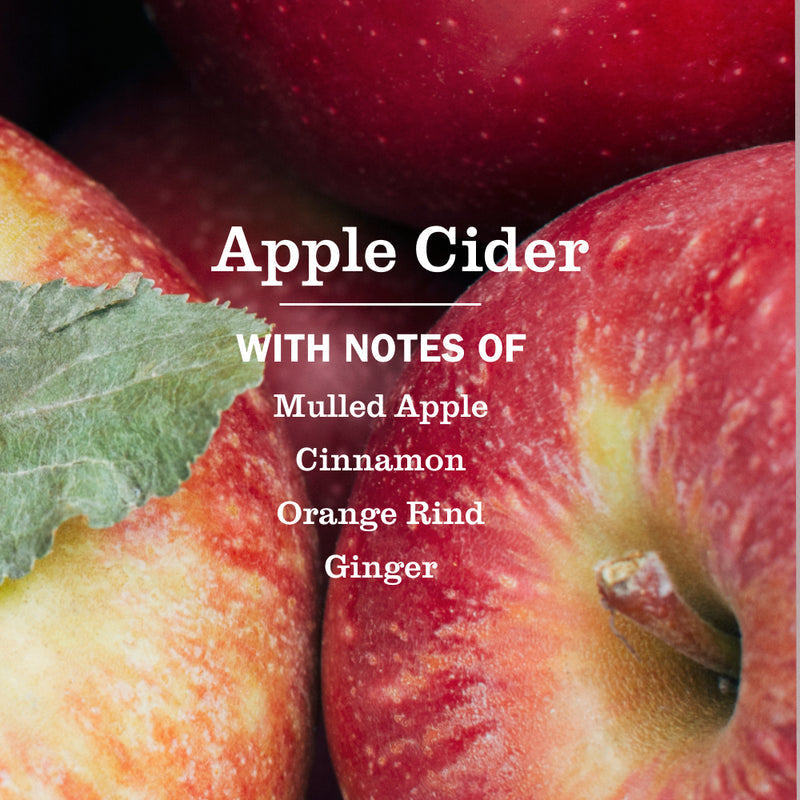 Apple Cider Plug In Scented Oil Refill 2-Pack