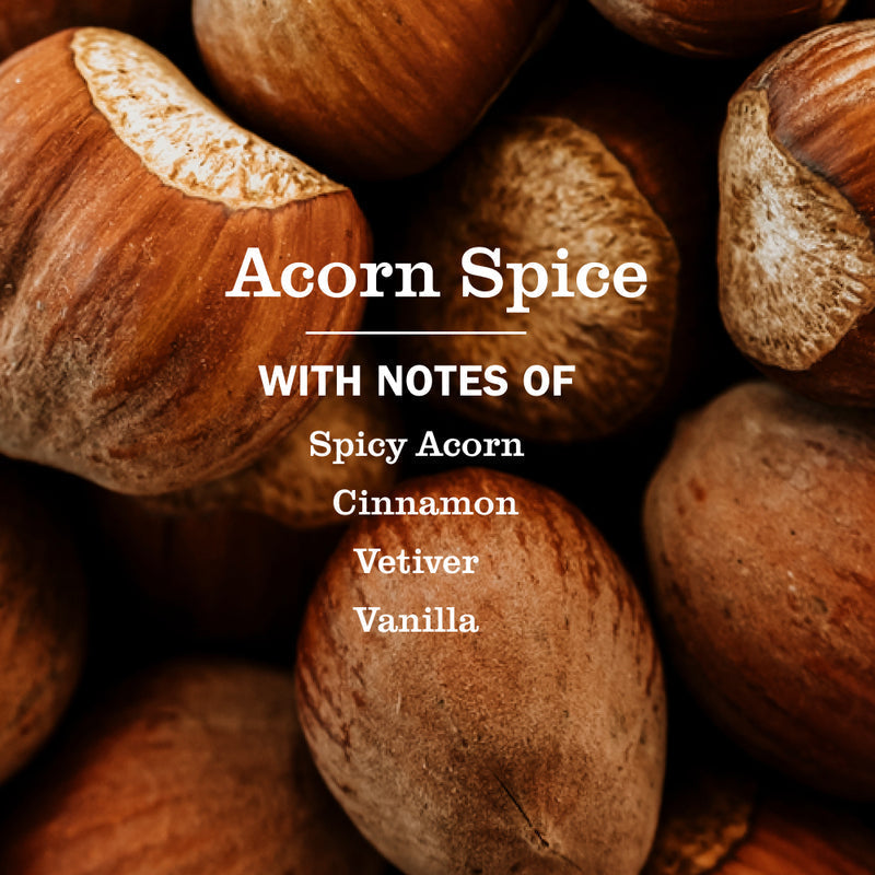 Acorn Spice Plug In Scented Oil Warmer With Refill