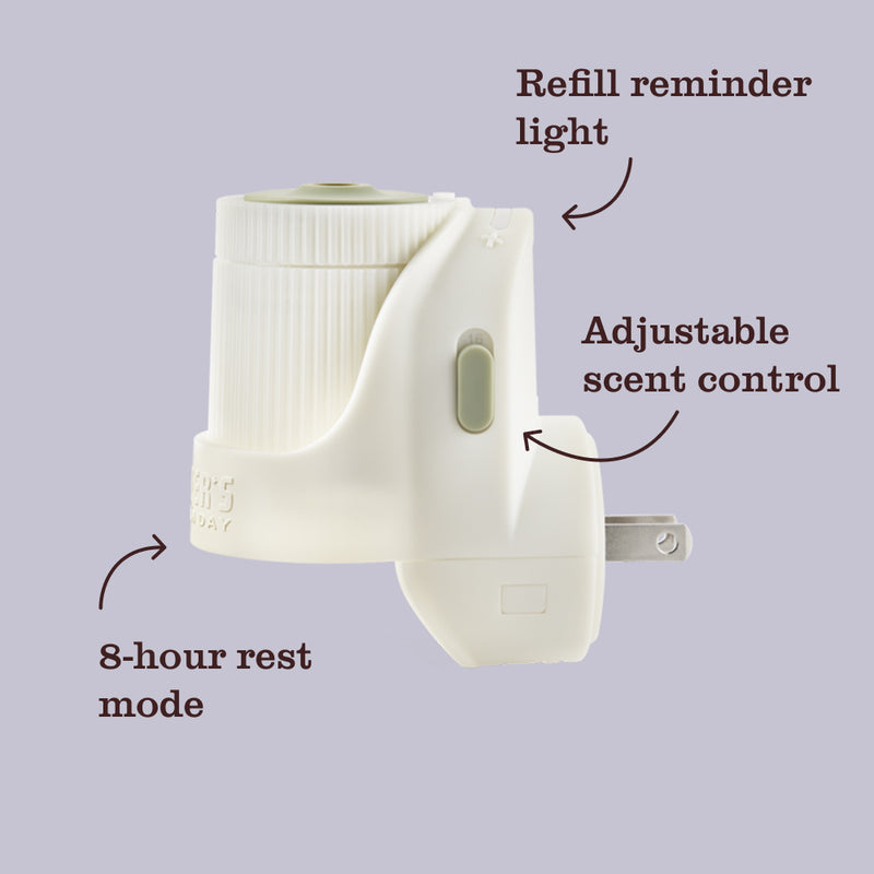 Acorn Spice Plug In Scented Oil Warmer With Refill