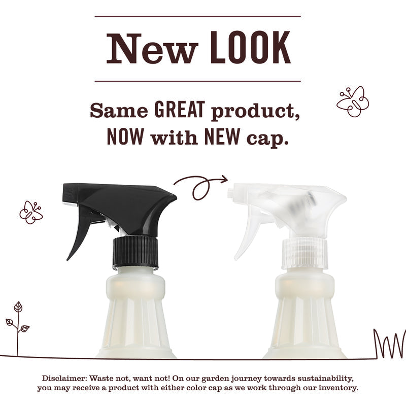 Clementine Multi-Surface Everyday Cleaner