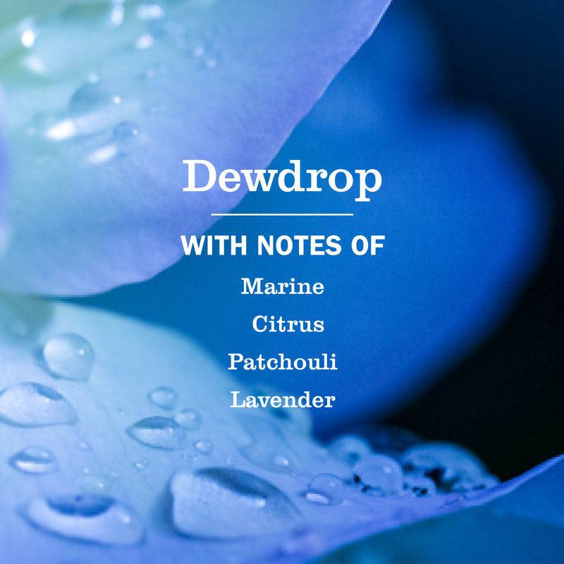 Dewdrop Dish Soap 3-count Bundle