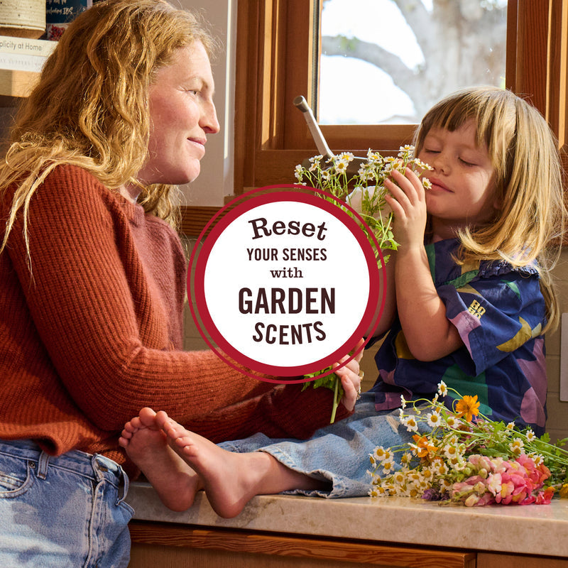 Mrs. Meyer's Lemon Verbena Soy Candle Large
