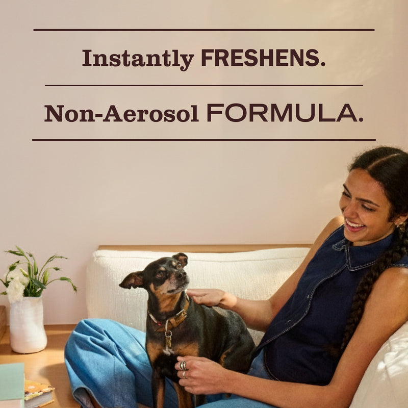 Blueberry Room Freshener