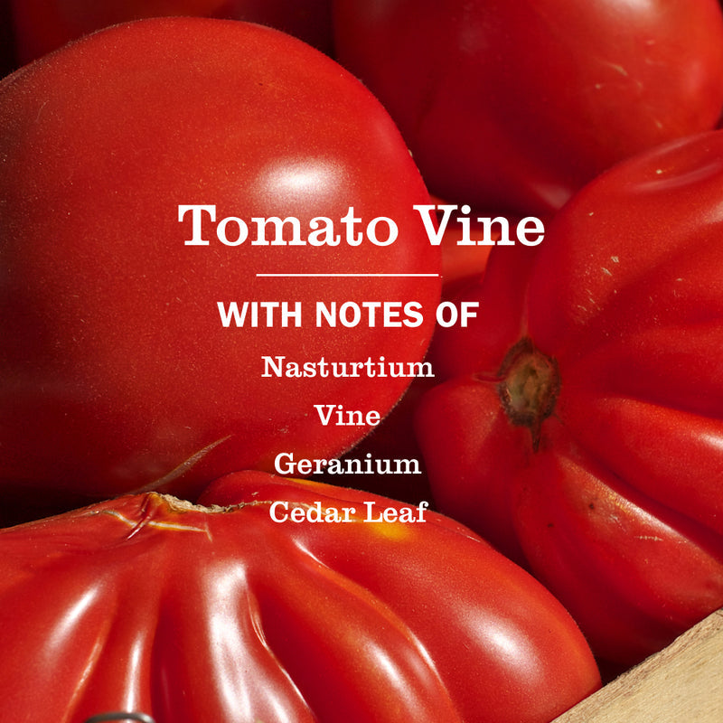 Tomato Vine Room Freshener
