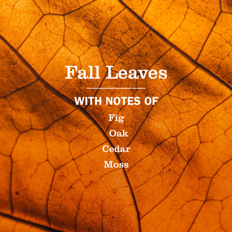 Fall Leaves Plug In Scented Oil Refill 2-Pack