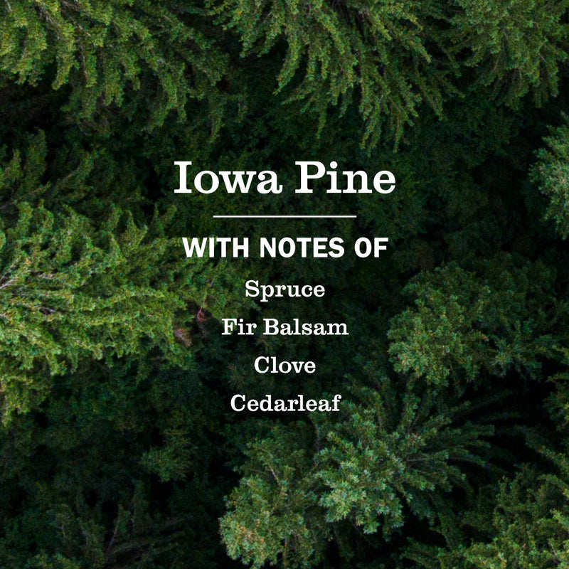 Iowa Pine Plug In Scented Oil Refill 2-Pack