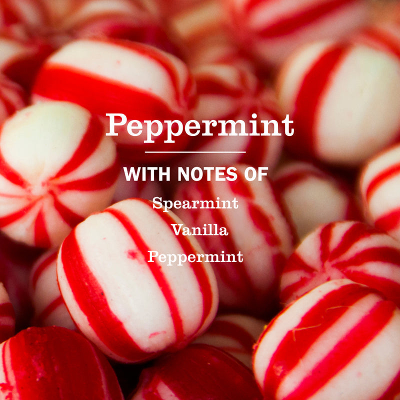 Mrs. Meyer's Peppermint Liquid Hand Soap 3-count Bundle 